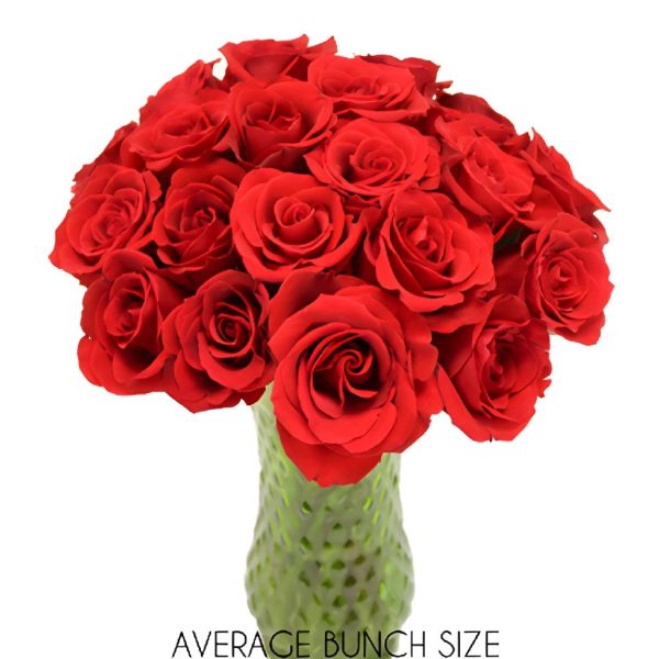 Plush Red Sweetheart Roses Online - Image 2
