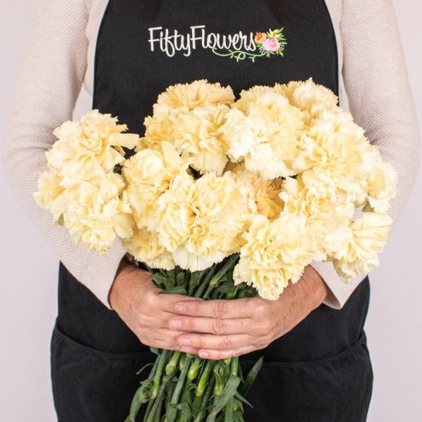 Champagne Wedding Carnation Flowers Discount - Image 4
