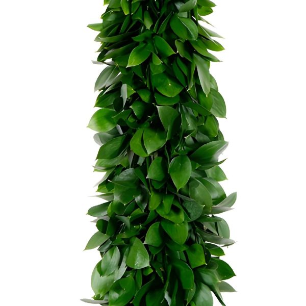 Israeli Ruscus Greens Garland Discount - Image 2