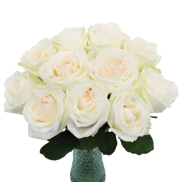 Naturally White Garden Rose Express Delivery Sale - Image 4