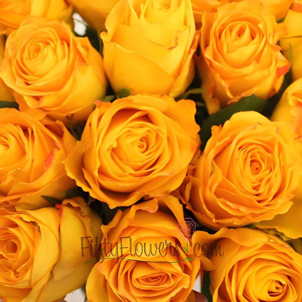 Kerio Golden Yellow Rose Discount