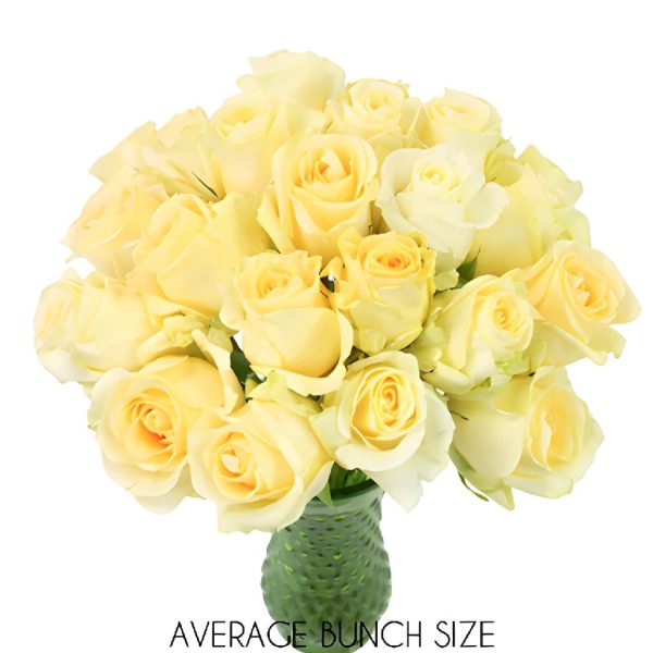 Lemon Sherbet Sweetheart Roses For Cheap - Image 2